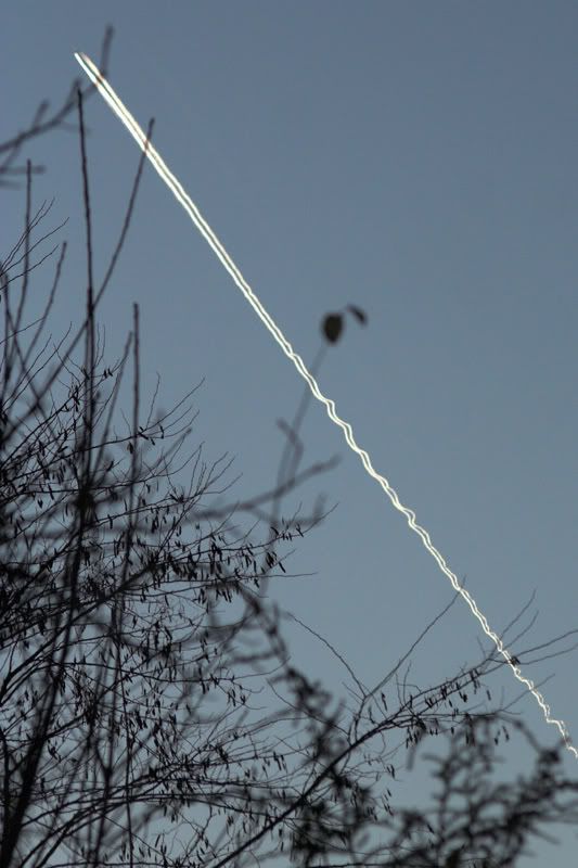 blowntrail.jpg