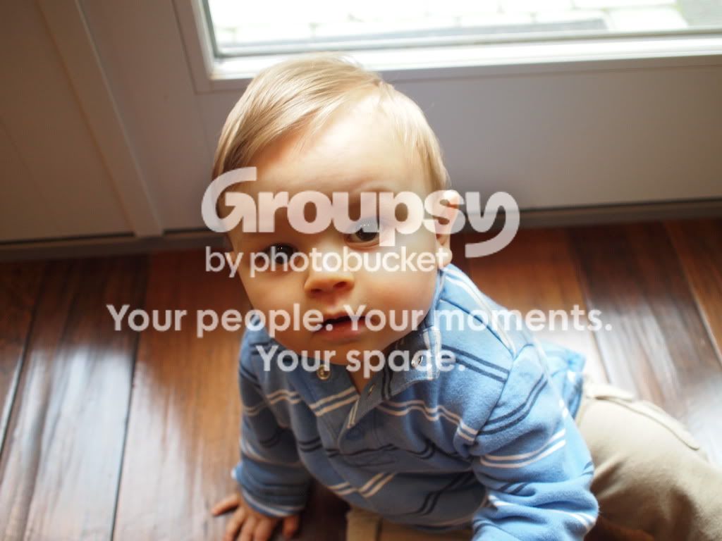 PA220288.jpg