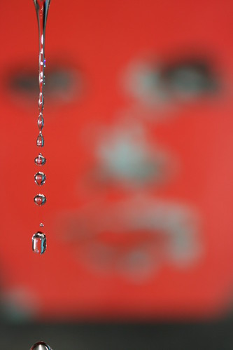 2574526364_73bd140b97.jpg