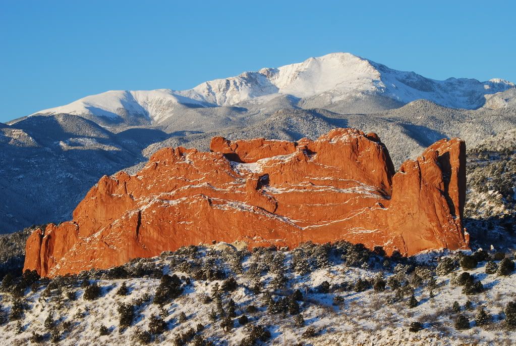 DSC_0041.jpg