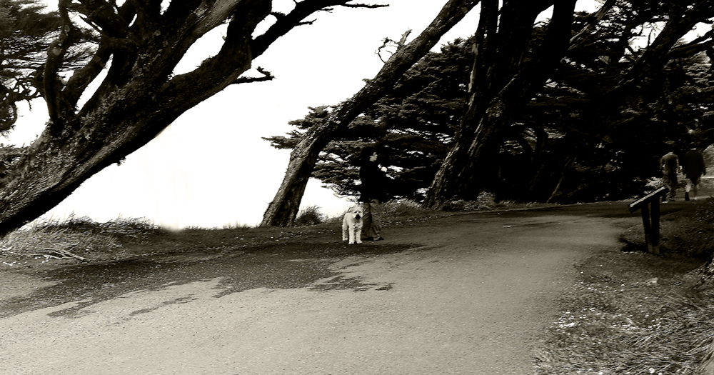 DSCF2717.jpg