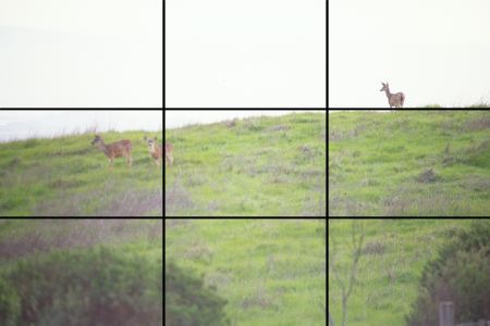 thirds2.jpg