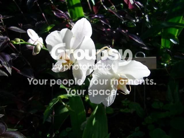 Picture007.jpg