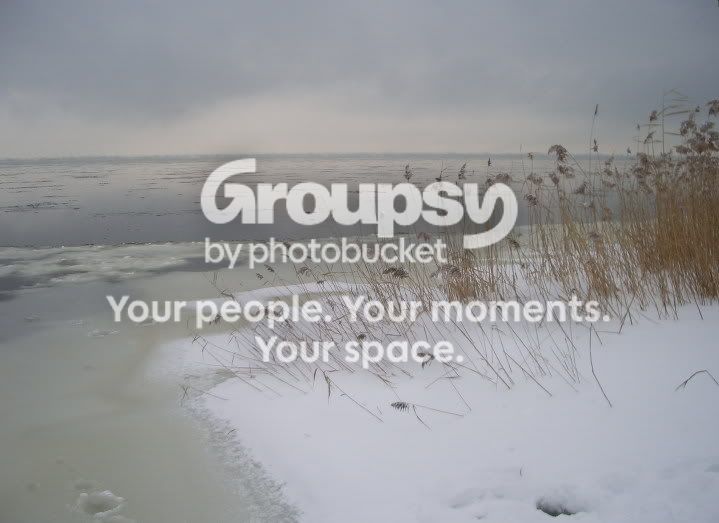 IMGP00972.jpg
