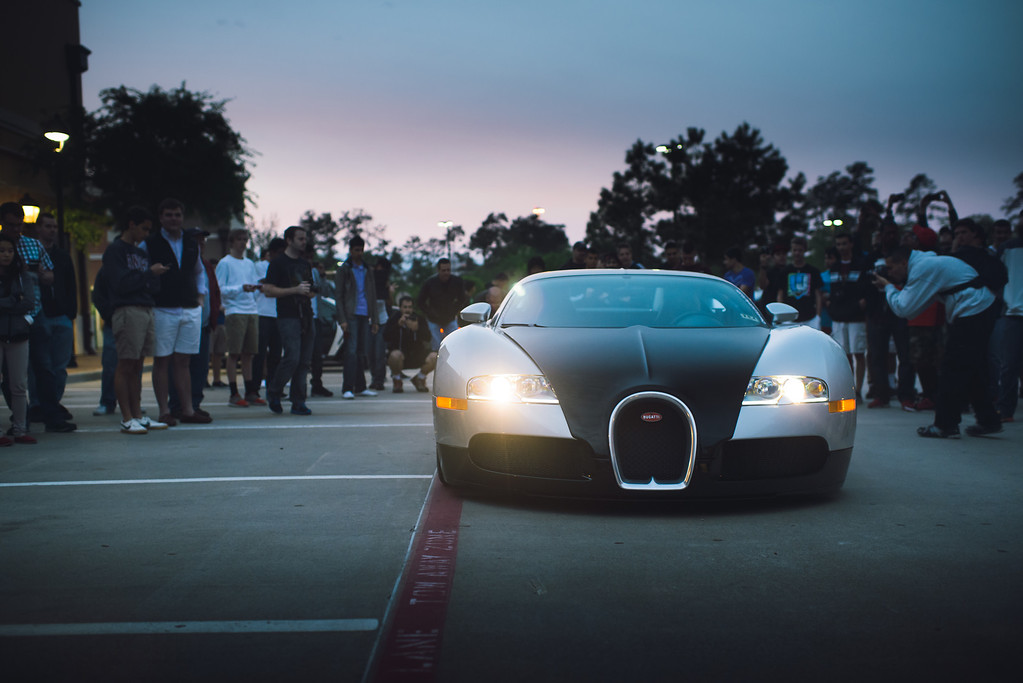 DSC_1653-XL.jpg