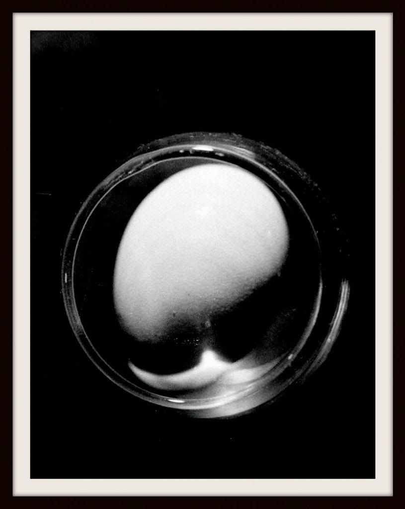 EGGLASS-1_zpsfff2faea.jpg