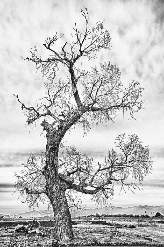 DSC_7055_HDR-1-2.jpg