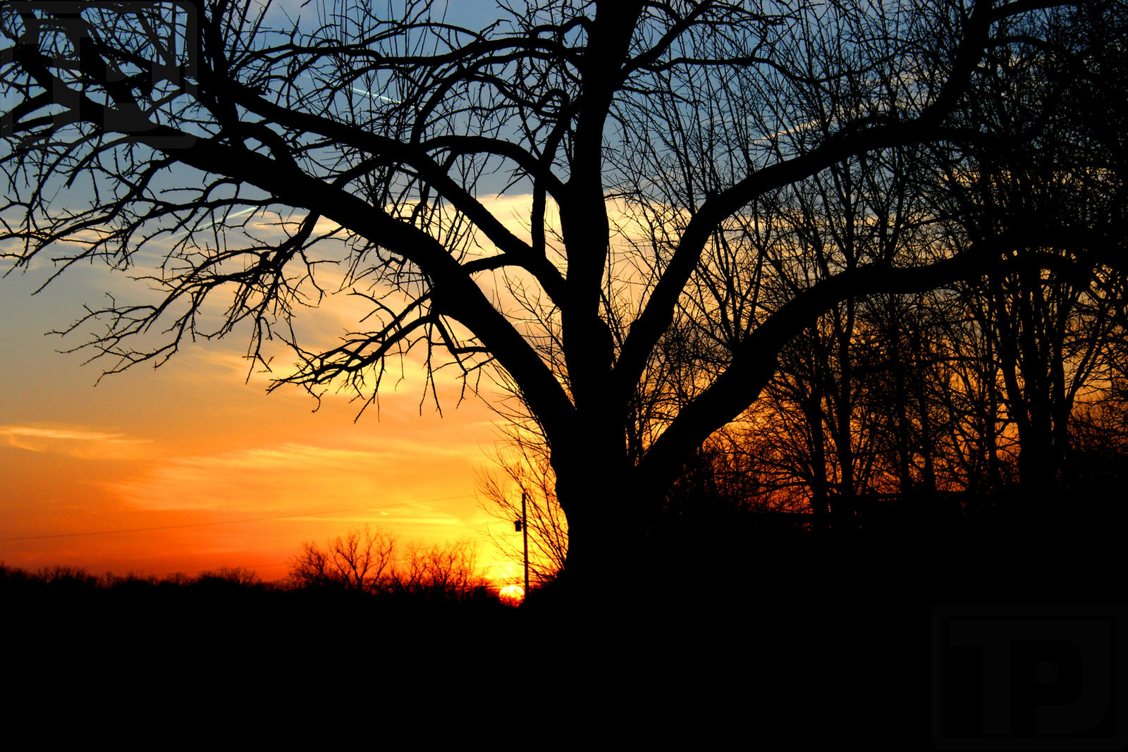 setting_sun_by_tjs_photographs-d9vdcds.jpg
