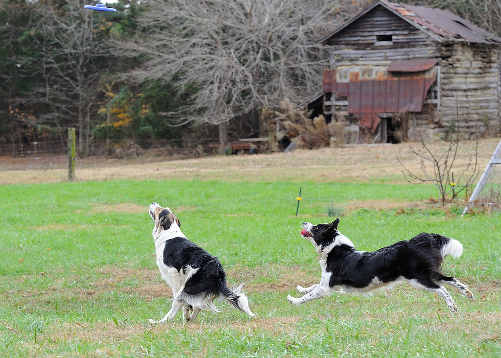 DSC_00312-XL.jpg