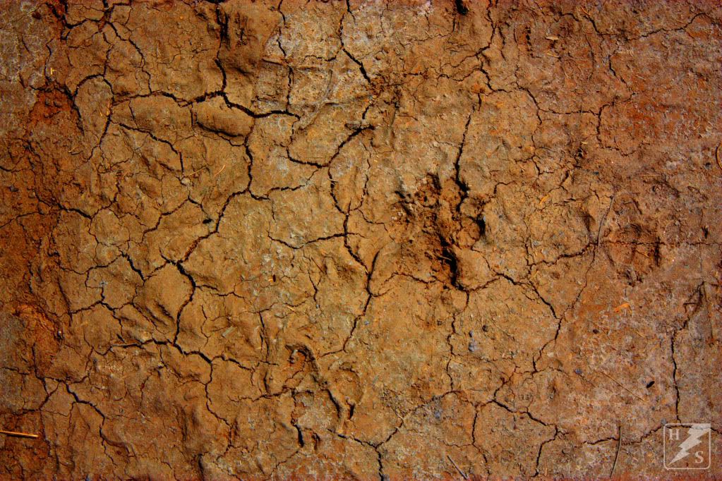 cracks.jpg