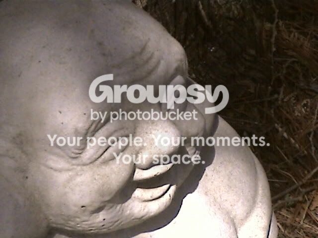 buddha.jpg