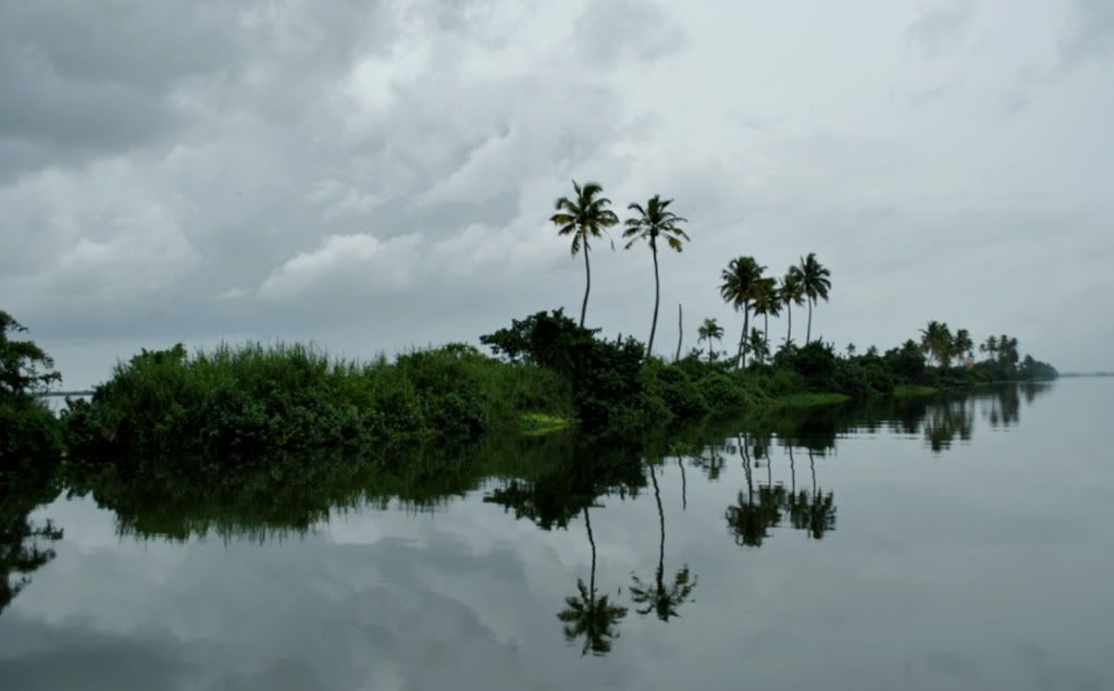 DSC_0411.jpg