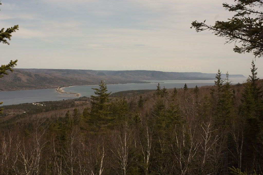 ViewpointfromKellysMountain.jpg