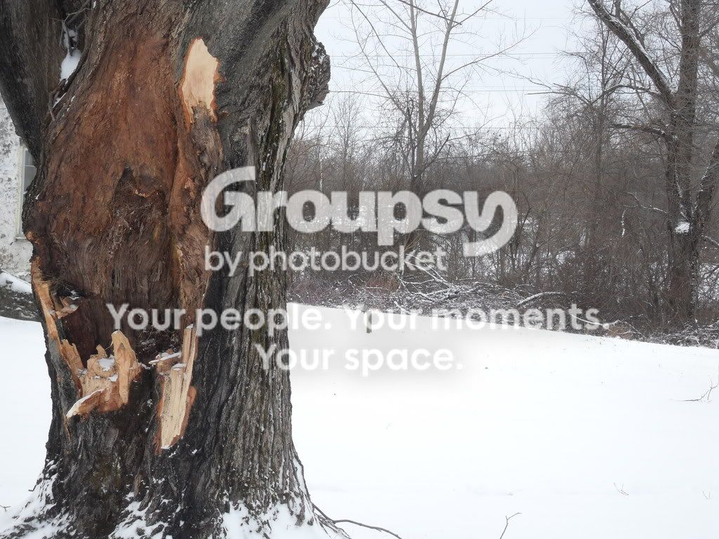 SDC10370.jpg
