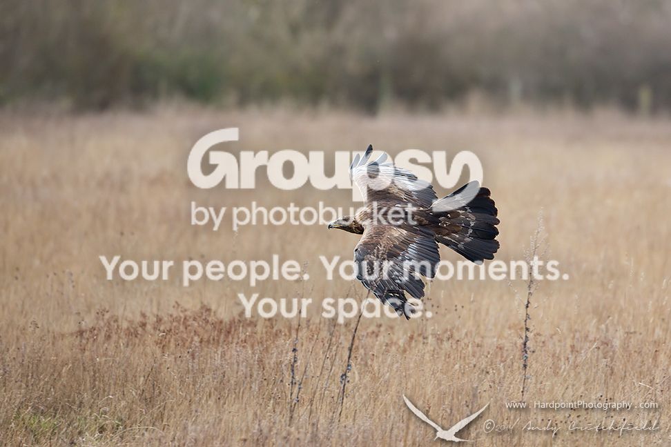 _HPP7557_zps39ed6139.jpg