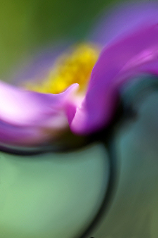 9170476772_2c2dd6f014_c.jpg