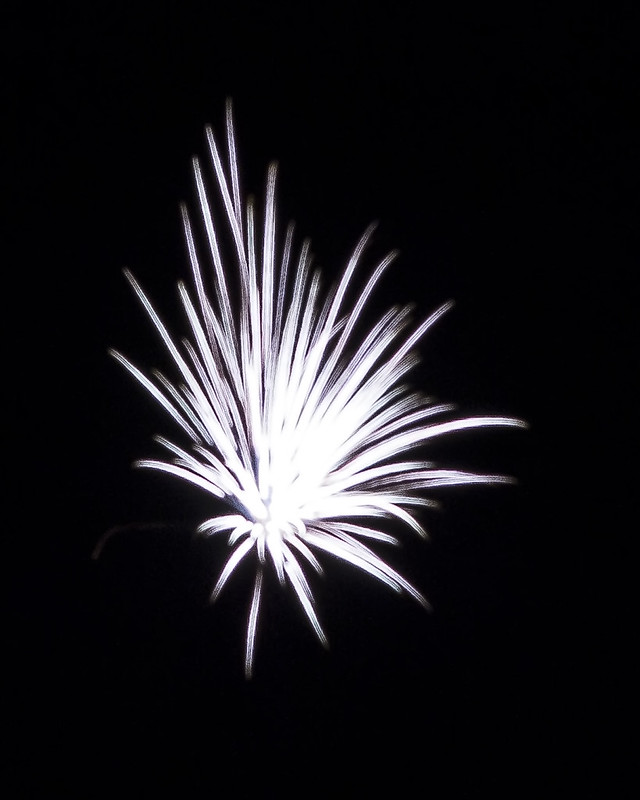 7476250666_f3b8a9b8b8_c.jpg