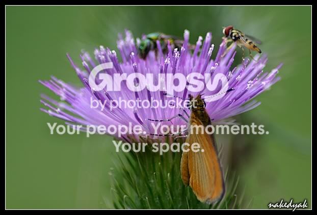 crowded.jpg