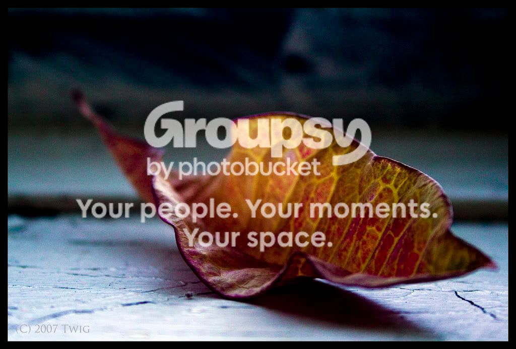 _MG_7666.jpg