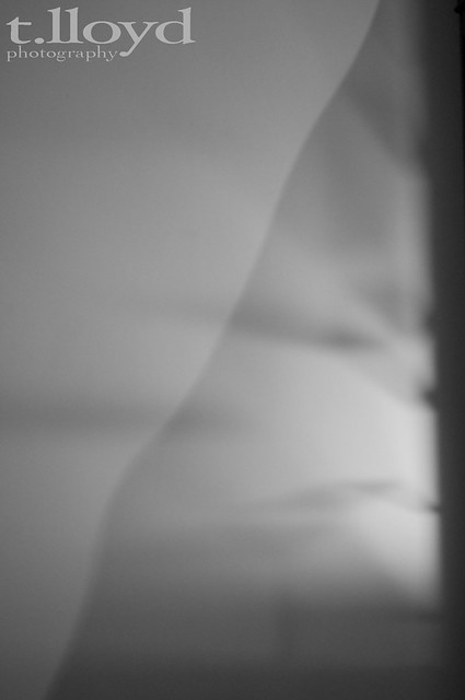 5835439003_1ffb1423c7_z.jpg
