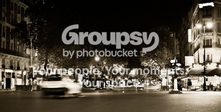 parisstreewallyt.jpg