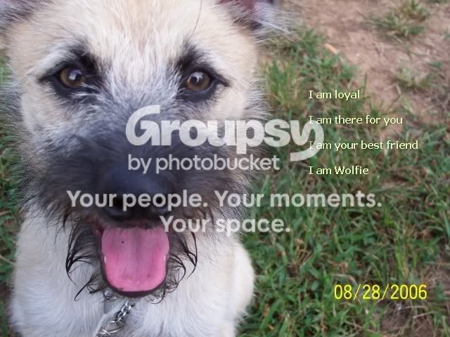 IamWolfie.jpg
