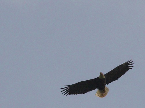4483394934_9d5afb8db6.jpg
