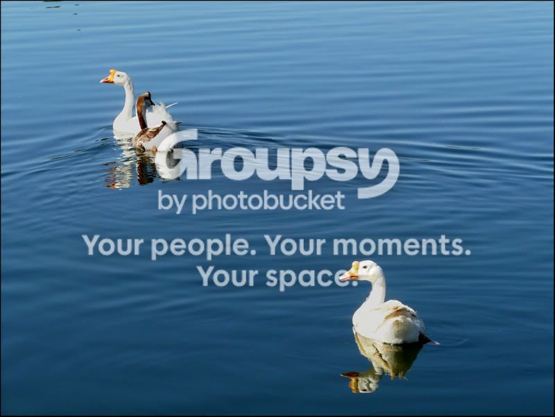 JerryBirding038e1.jpg
