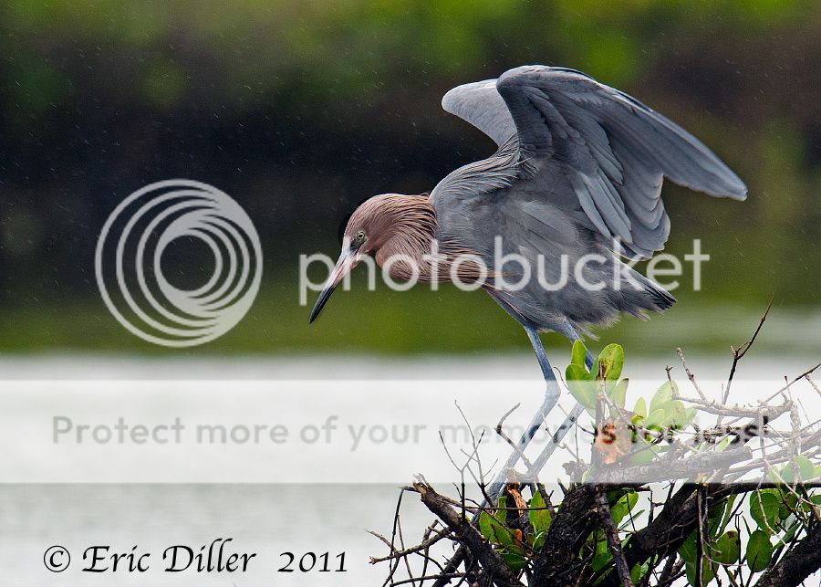 _ECD0484-copy900.jpg
