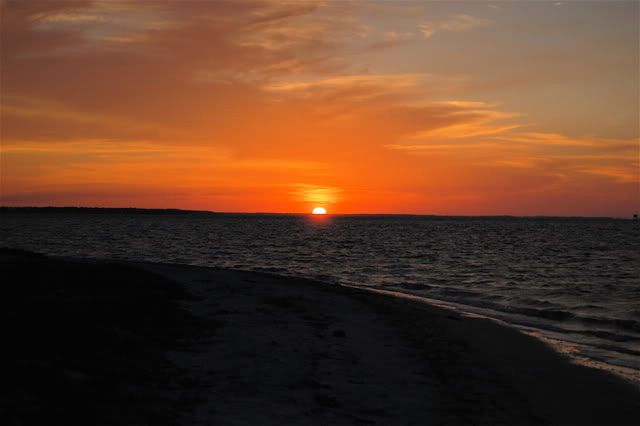 DSC_0022.jpg