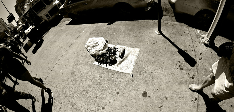 DSCF5827-L.jpg