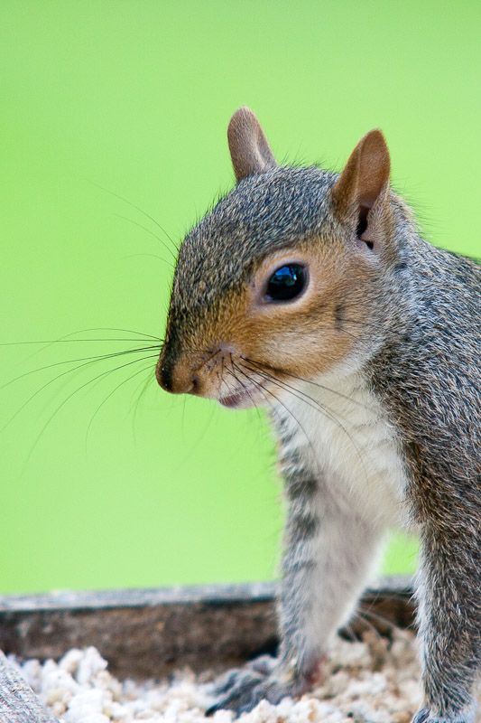 191010squizzle8.jpg