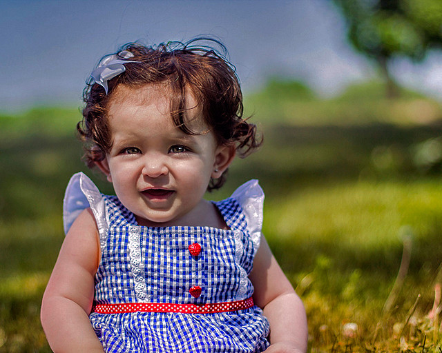7370162554_47ce0deb67_z.jpg