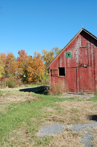 DSC_0223.JPG