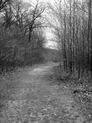 lonelytrail.jpg