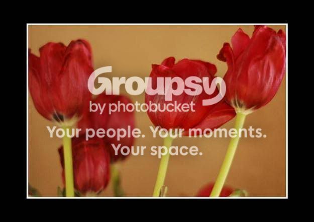 tulips.jpg