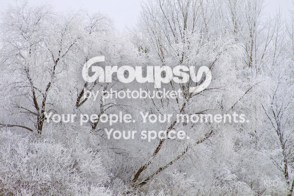 Frosty_zps0c0b4362.jpg