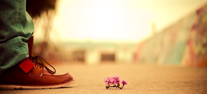 timmeetflower.jpg