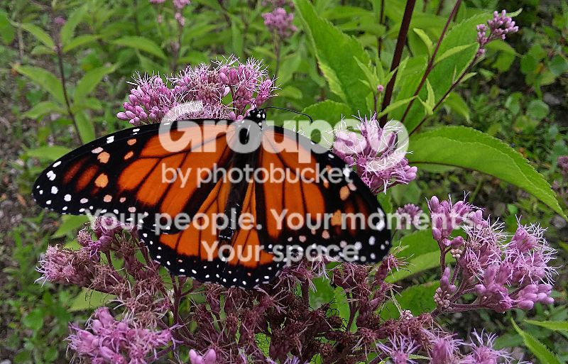 20180815_135837.jpg