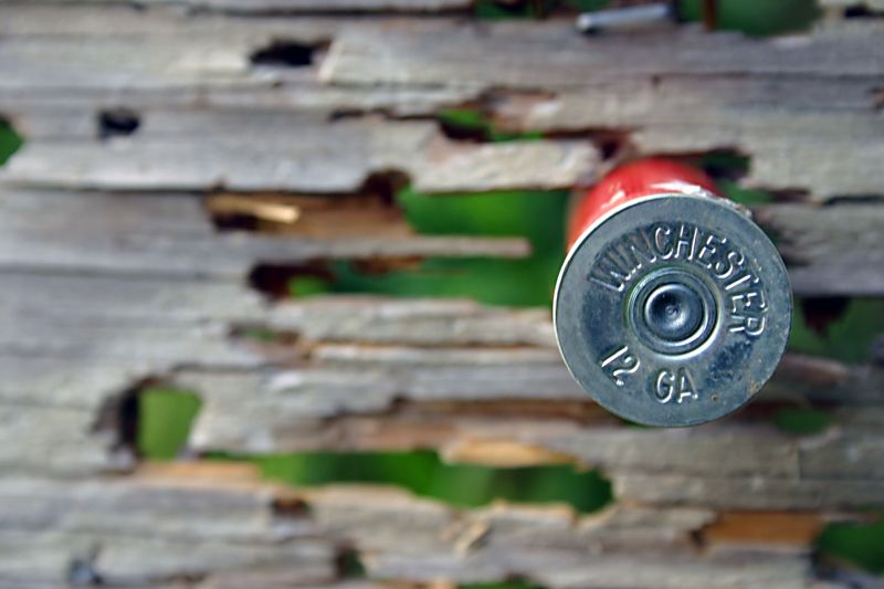 Bullet.jpg
