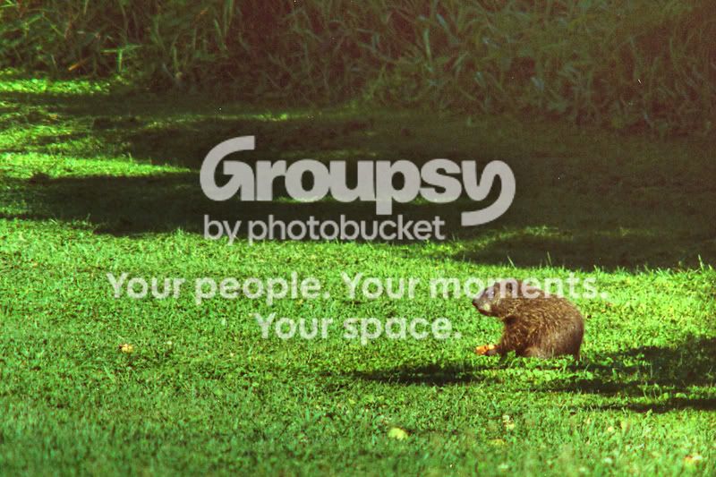 021_2.jpg