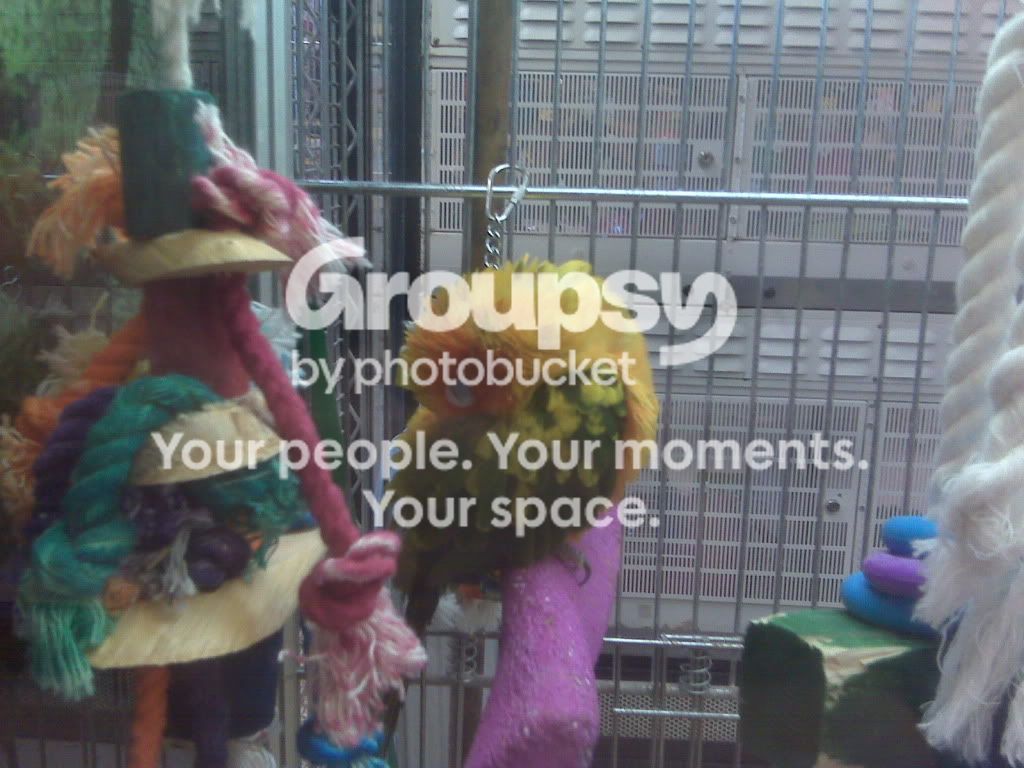 IMG00192.jpg