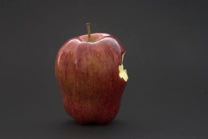 bite1.jpg