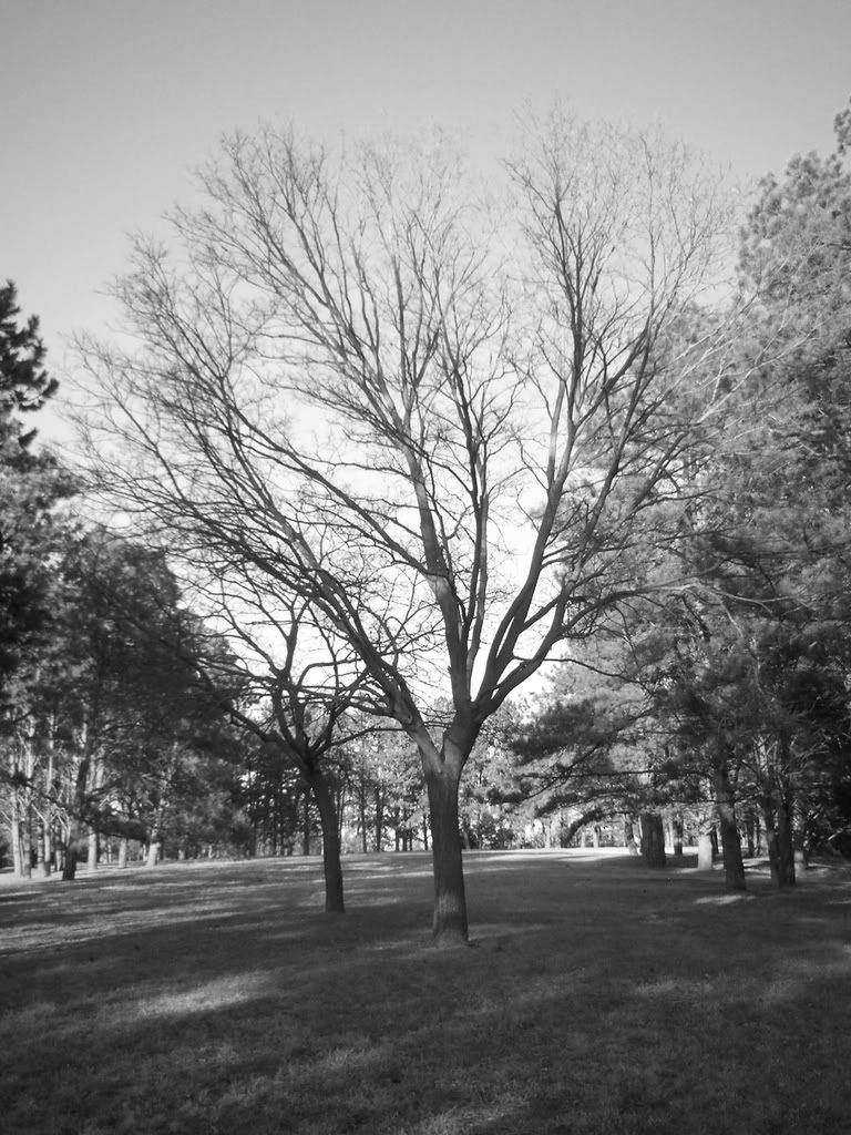 100_0440.jpg
