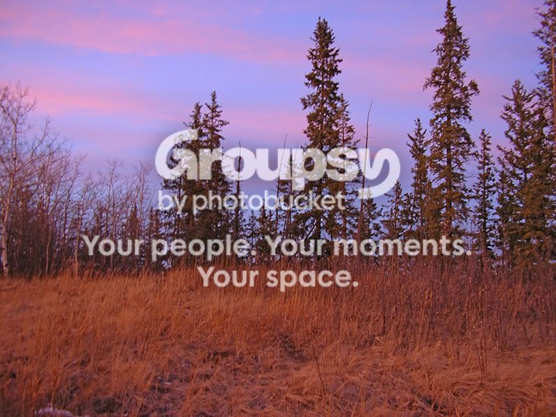 fishcreek.jpg