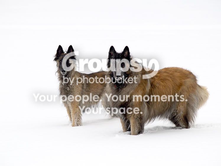 What-do-you-mean-we-have-to.jpg