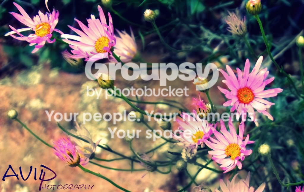 Flowerscopy.jpg