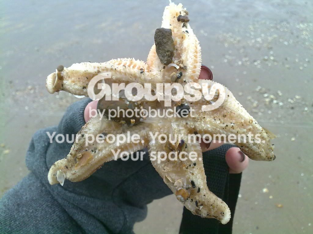 28042010401.jpg