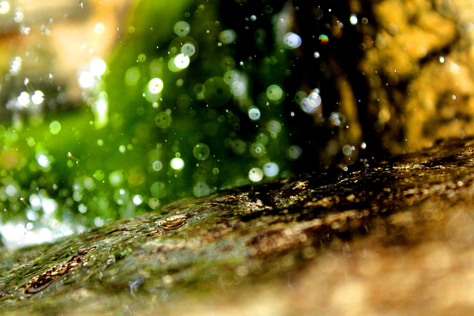 water_specks_by_tjs_photographs-d9xjjuc.jpg