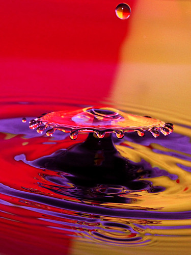 6825779699_9c0256c651.jpg